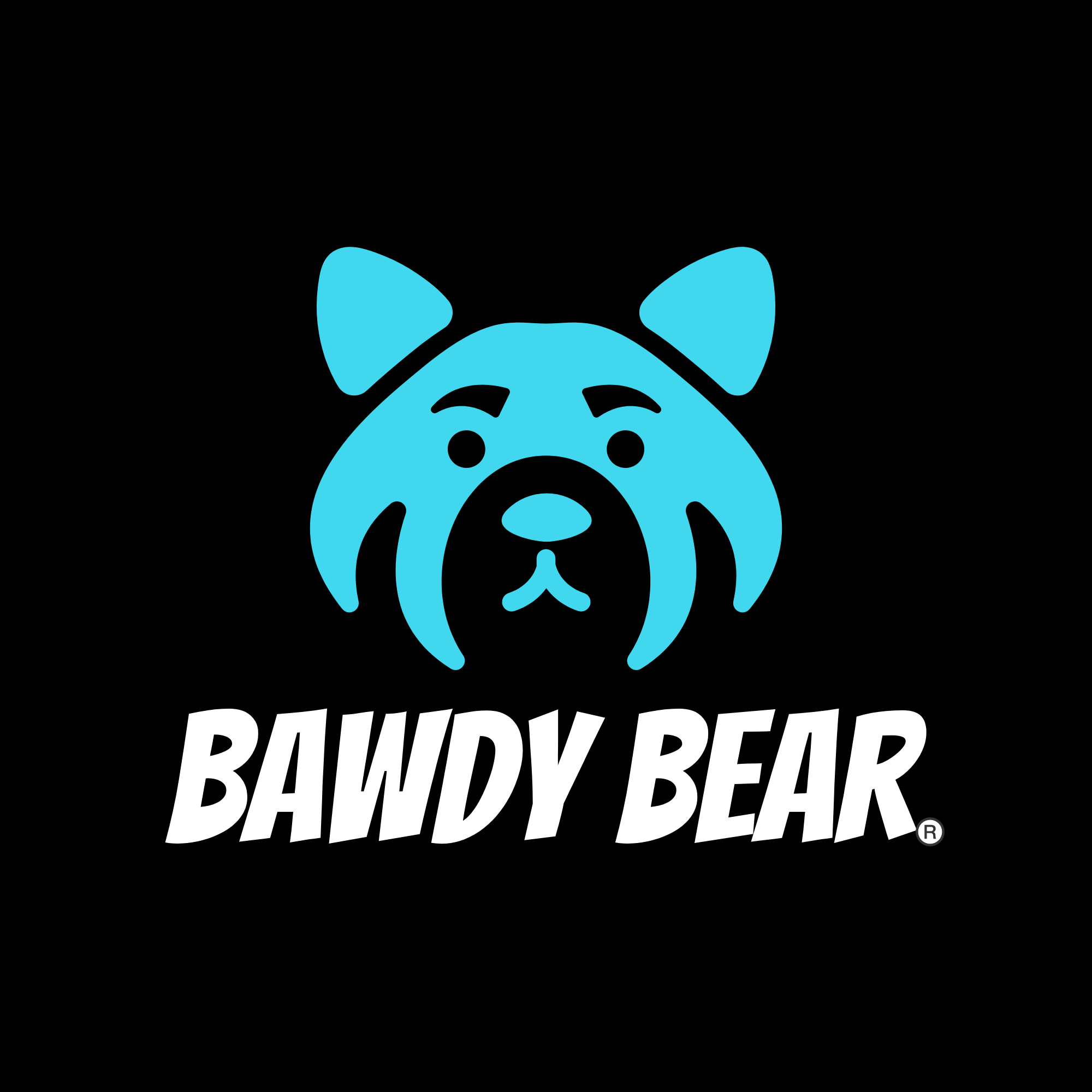Bawdy Bear / Bear Logo / Unisex Jersey Short Sleeve Tee