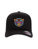 Multi Color Bear / Cap 6277